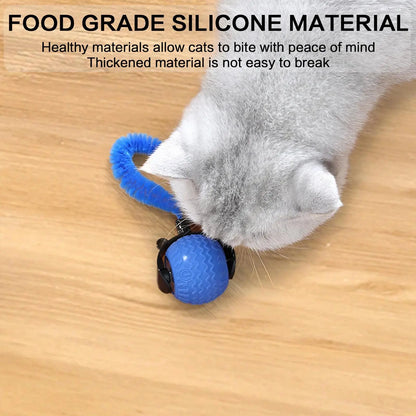 Rechargeable Interactive Cat Toy Ball - Durable Teaser for Play and Exercise, Available in Single or Double Pack, Ideal Indoor Accessory for Cats