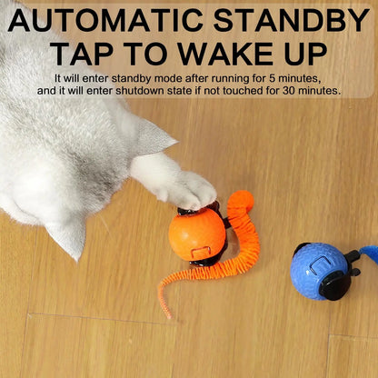 Rechargeable Interactive Cat Toy Ball - Durable Teaser for Play and Exercise, Available in Single or Double Pack, Ideal Indoor Accessory for Cats