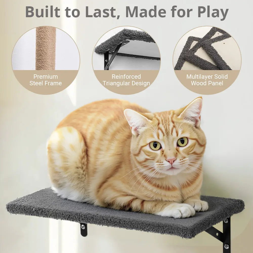 CAVEEN 5-in-1 Wall-Mounted Cat Climbing Set - Multi-Level Cat Shelves and Perches for Play, Sleep, and Climbing